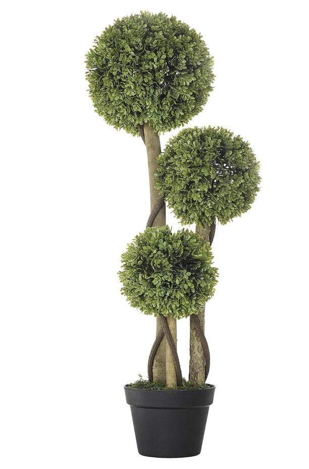 Milan Bonsai