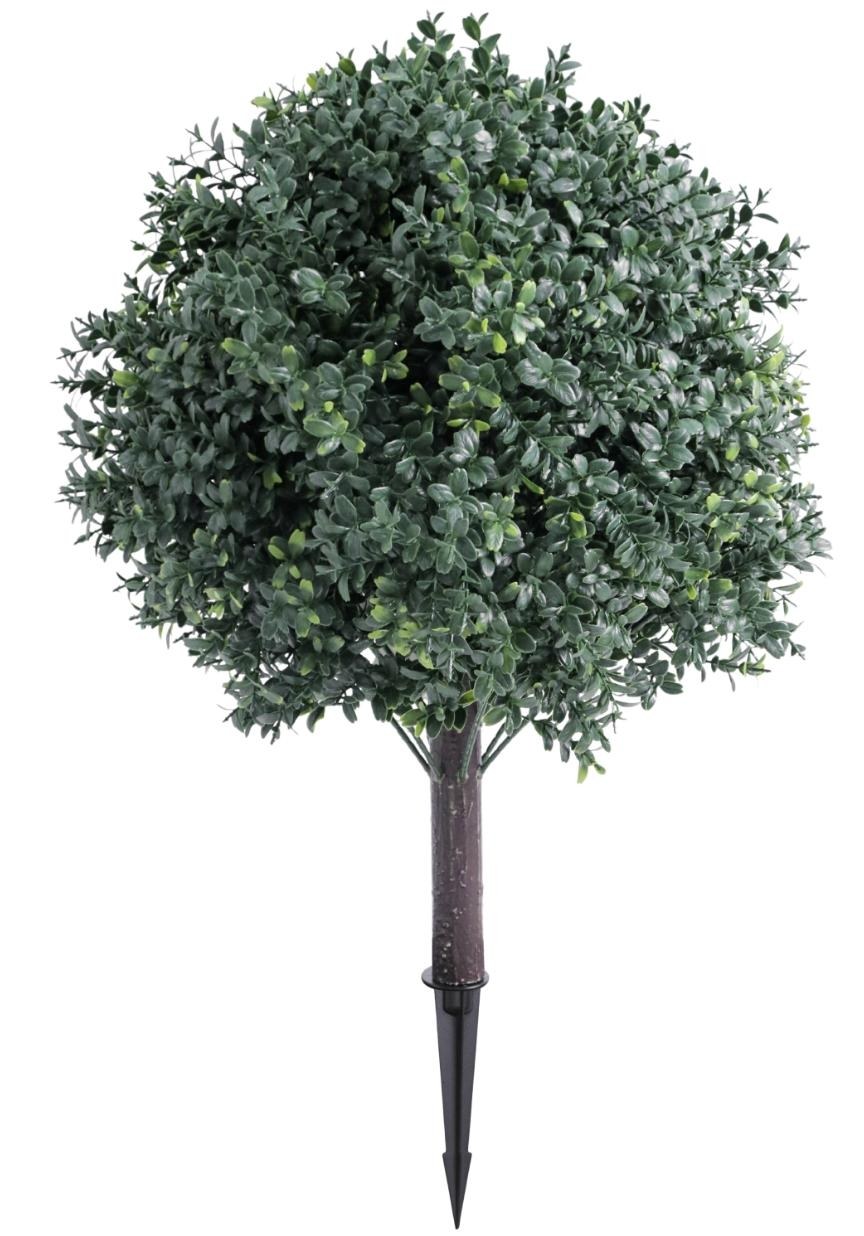 Boxwood Plant Stake