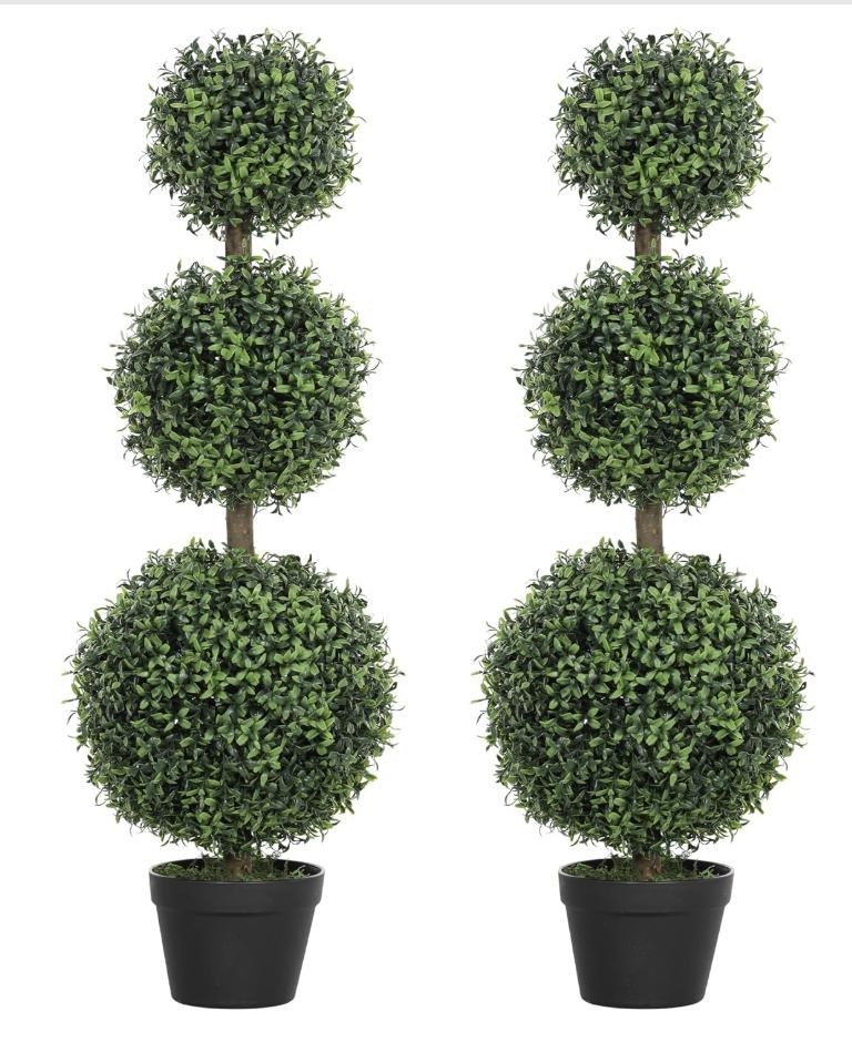 Boxwood Bonsai